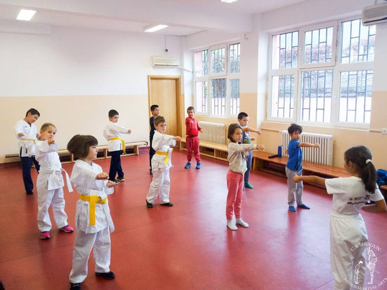 Cantonament CS Shogun